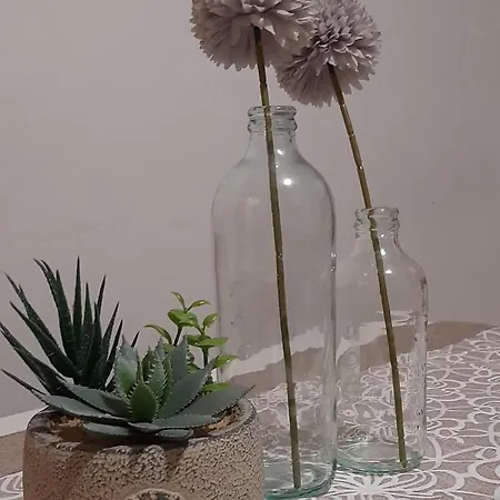 Il Bottalone Apartment *
